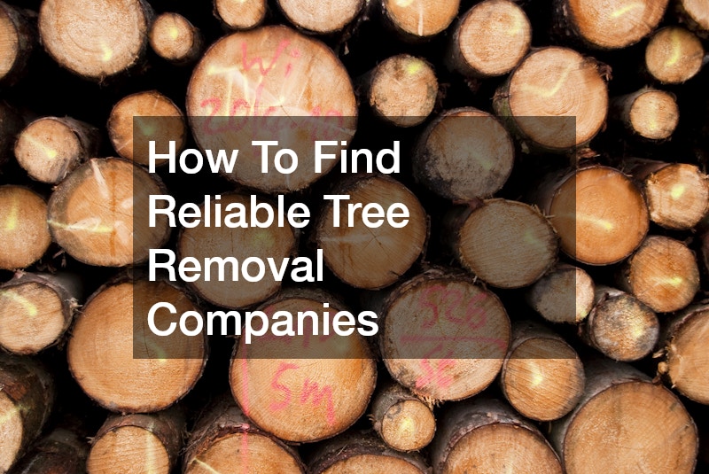 How To Find Reliable Tree Removal Companies